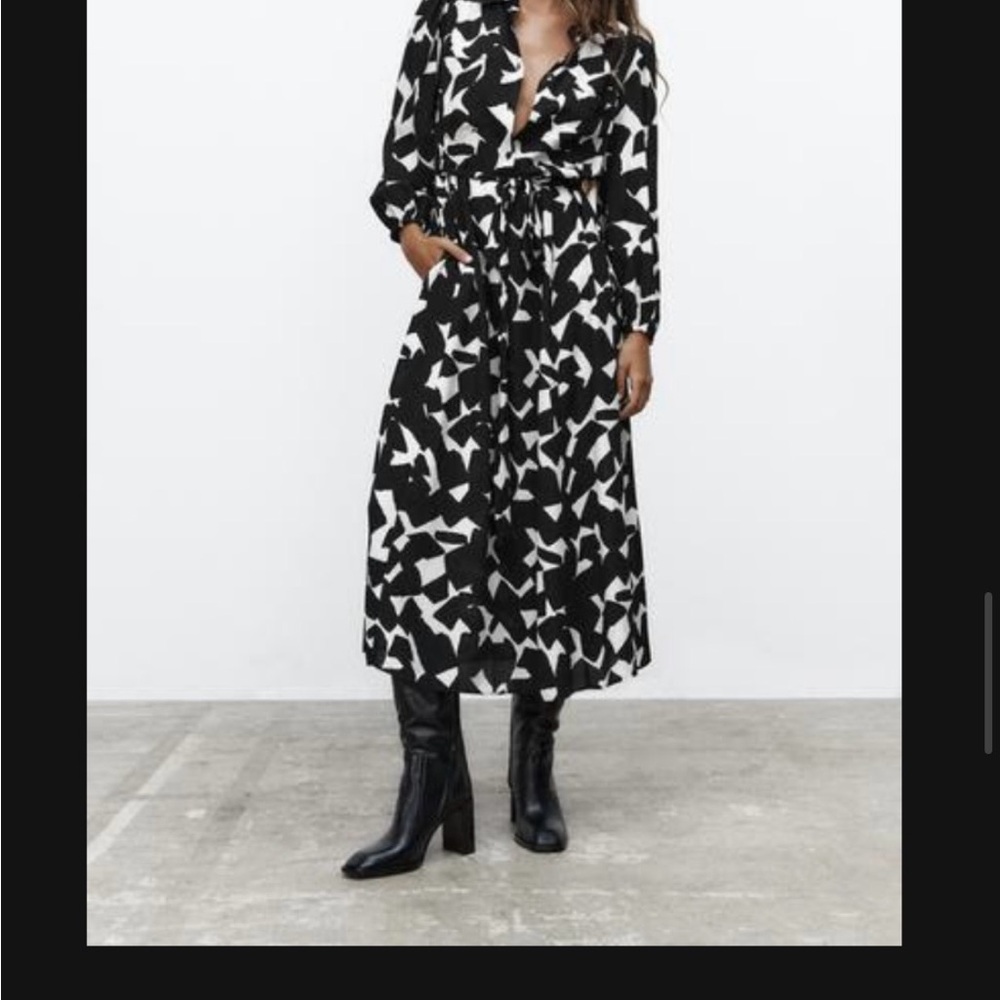 Zara Belted Printed Dress